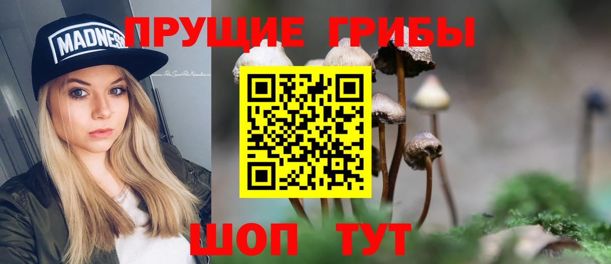 Красногорск  Псилоцибиновые грибы мицелий  Вход с VPN 