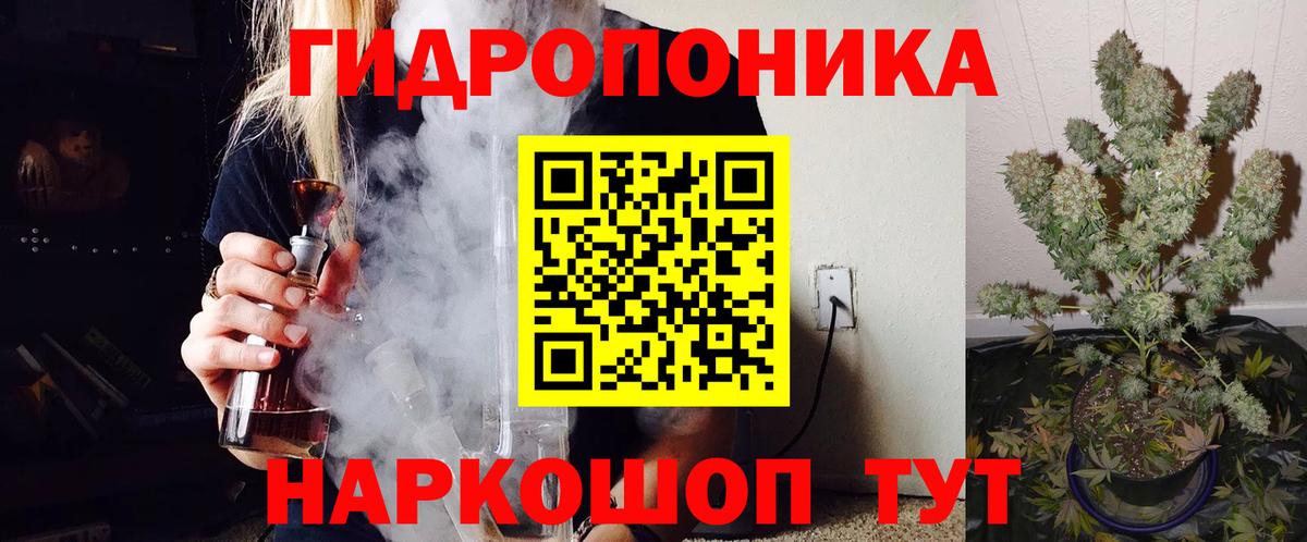 Каннабис сатива Красногорск